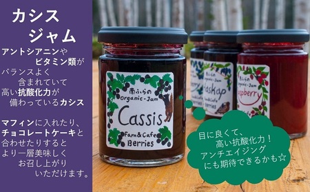 4種のベリー手作りジャム8個セット 北海道 南富良野町 ジャム ブルーベリー ハスカップ カシス ラズベリー 詰合せ 果物 果実 土産 
