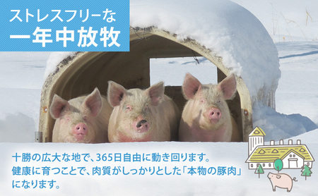 放牧豚 遊ぶた 2.68kg バラエティーセット 豚肉