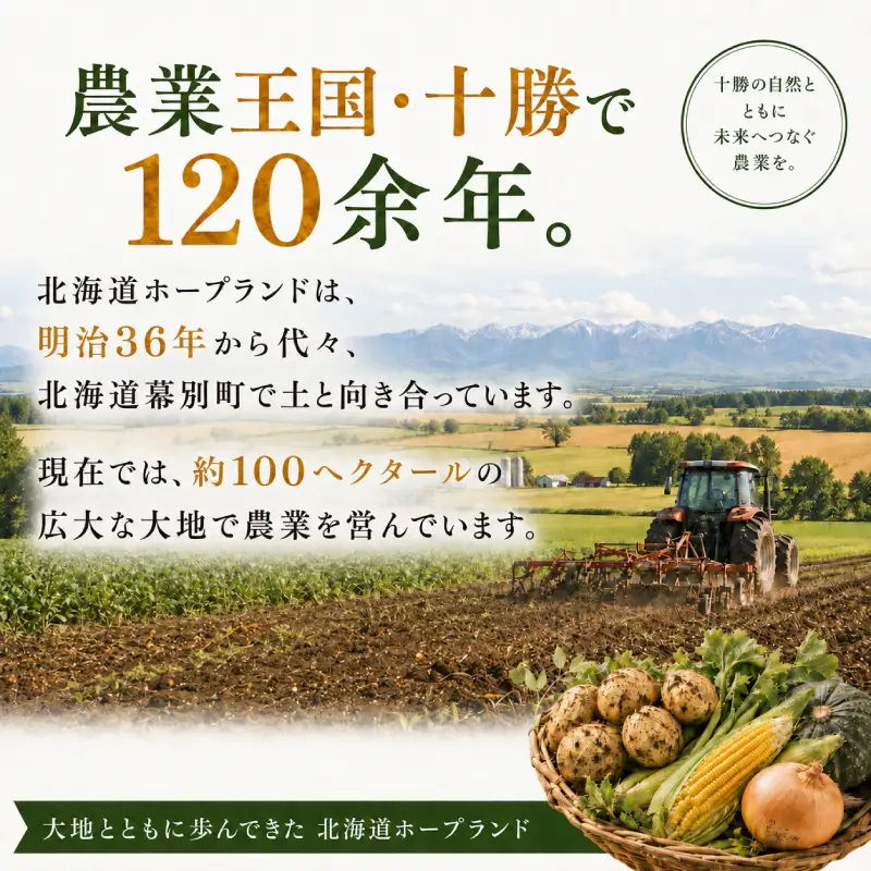 先行予約 2026年 黄・白とうもろこし 計18～20本 とうもろこし