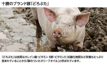 北海道十勝のメンチカツとコロッケ2種 70g×6個（どろぶたメンチカツ・黒毛和牛コロッケ）各3個［木川商店］【 加工品 惣菜 冷凍 お肉 豚肉 牛肉 レンジ お手軽 簡単 北海道 十勝 幕別  】 
