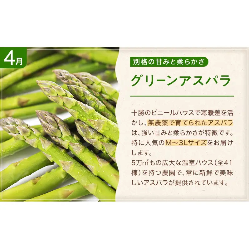 十勝幕別の定期便 お楽しみコース年6回お届け 加工食品 乳製品 チーズ 野菜 とうもろこし じゃがいも 