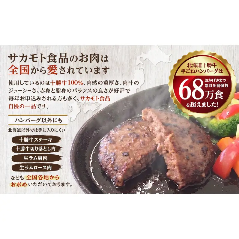 定期便 全6回 北海道産 豚肉 牛肉 セット ハンバーグ