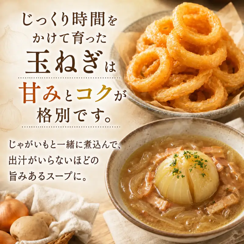 先行予約 メークイン5kg 玉ねぎ4kg セット じゃがいも