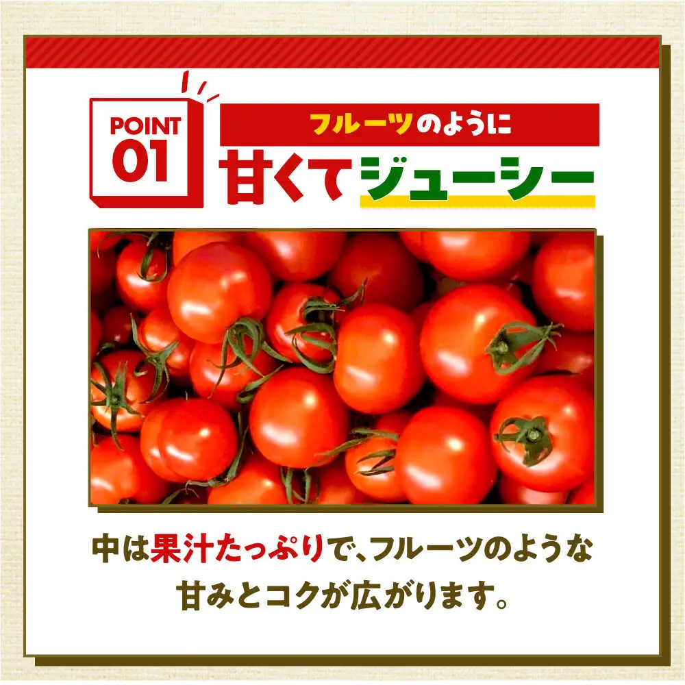 めぐみでぃトマト100%ジュース　500ml×3本　若狭の恵 小浜市 / 若狭の恵 [BFAG002]