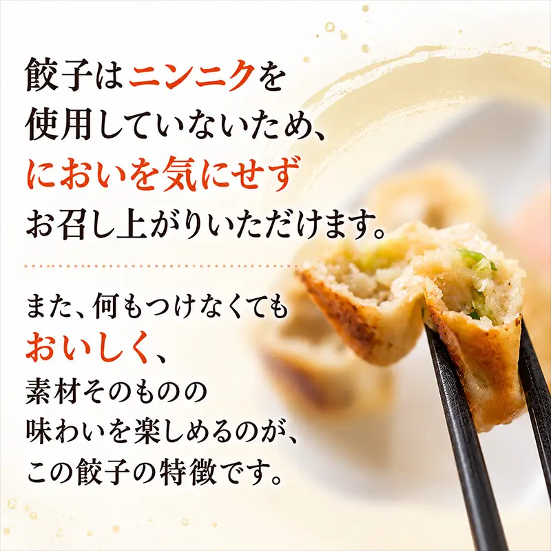 丹精込めた手仕込み自家製餃子たっぷり60個 小分け20個×3袋