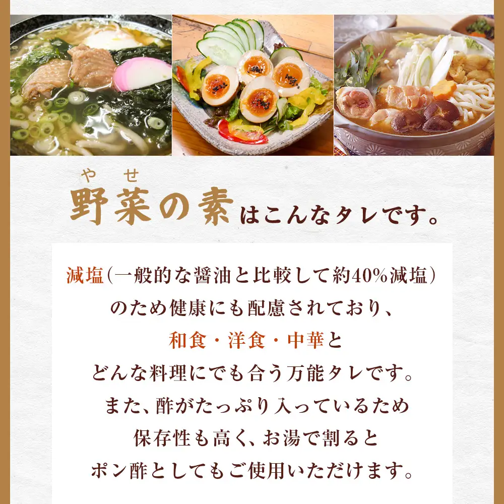 【宮崎小林・地鶏の里】野菜の素セット