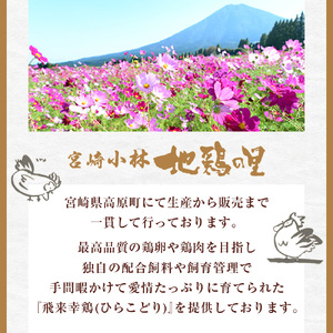 【宮崎小林・地鶏の里】飛来幸鶏の卵かけご飯セット「黙って食べて魅卵ね」
