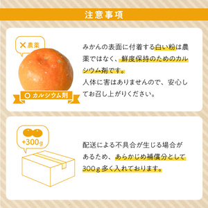和歌山県産 有田みかん 化粧箱 約4.5kg Mサイズ【まごころ手選別】_ZE6059n