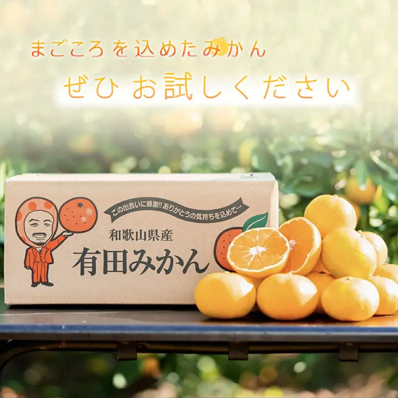 【2027年先行予約】和歌山県産 有田の 八朔 (はっさく) 約10kg 小玉 【2S～Mサイズ混合】まごころ手選別 _ZE6154n