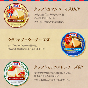 チーズ 8個セット 詰め合わせ ワインのお供 チーズ