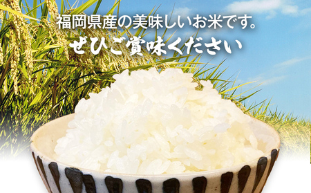 【令和7年産】 福岡県 大木町産 ヒノヒカリ 20kg　BC04