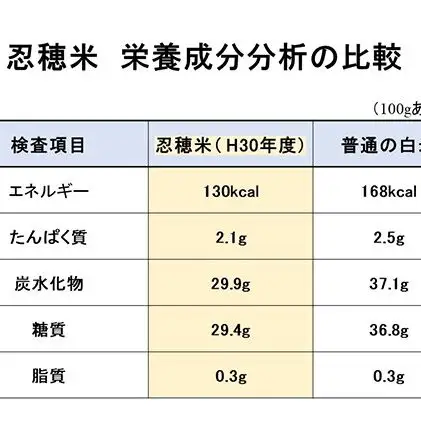 低カロリー米  忍穂（おしほ）5kg お米 