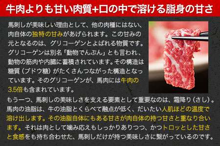 熊本特産馬刺し 馬刺し4種の盛り合わせ【極上大トロ馬刺し80g/特選霜降り馬刺し80g/ロース馬刺し80g×3/赤身馬刺し80g×4】+タレ360ml付き《30日以内に出荷予定(土日祝除く)》 st-p