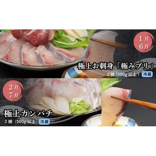 【 刺身 】 刺身定期便 12ヶ月