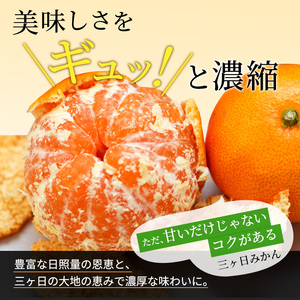 みかん 青島 7kg 2L 優品 ミカン 蜜柑 みかん