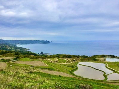 (1028)お米 精米 白米 棚田米 米「きぬむすめ」10kg 令和7年度産