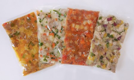 ドッグフード 【ペット食育士監修】 日向市産の野菜をたっぷり使った 手作り ドッグフード (4種×各1個)