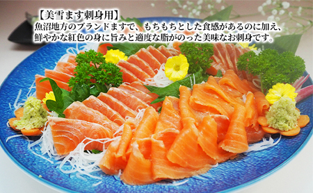 魚沼美雪ます 刺身用フィレー＆熟成スモークサーモンセット 鱒 加工食品 魚貝類 さけ サケ 鮭 