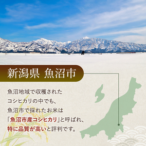 雪室貯蔵 魚沼産 コシヒカリ 無洗米 2.5kg 12ケ月 連続お届け ( 米 定期便 お米 こめ コメ おこめ 白米 こしひかり 12回 30kg お楽しみ ) 新潟県 
