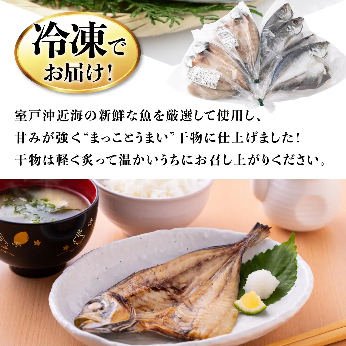 カマス 干物 8枚 国産 カマス