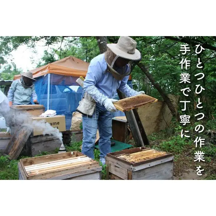 さいき養蜂園　非加熱蜂蜜　アカシア１Kg×２本【ハチミツ 蜂蜜 ハニー 非加熱 セット あかしあ 1kg 健康食品 国産 保存 備蓄 防災 非常食 常温】
