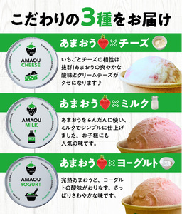 【ICHIGOYA】福岡県産 完熟あまおう ジェラート(アイス) 3種×2個(計6個) レアチーズ！ミルク！ヨーグルト！_ICHIGOYA 福岡県産 完熟 あまおう ジェラート アイス 3種 × 2個 計 6個 レアチーズ ミルク ヨーグルト セット デザート カップアイス アイスクリーム 冷凍 お取り寄せ お取り寄せスイーツ 福岡県 久留米市 送料無料 〔Dw016〕