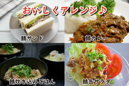 鯖缶詰24缶詰め合わせB / さば缶 缶詰 サバ 魚 小浜市 / 福井缶詰  [BFAB038]