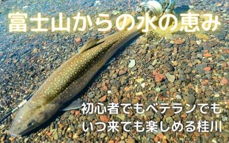 【令和9年度】都留漁業協同組合年間遊漁証（全魚種）｜桂川 フィッシング 渓流釣り アングラー スーパーレインボー マス釣り ヤマメ釣り イワナ釣り