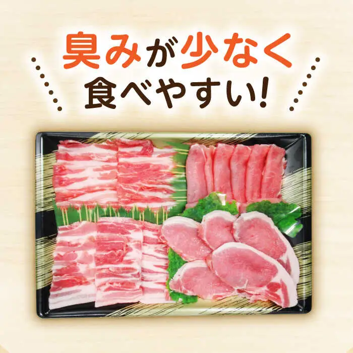 ながさき健王豚セット / 豚肉 健王豚 豚バラ バラ 豚ロース ロース / 諫早市 / 長崎県央農業協同組合　Aコープ本部 [AHAA001]