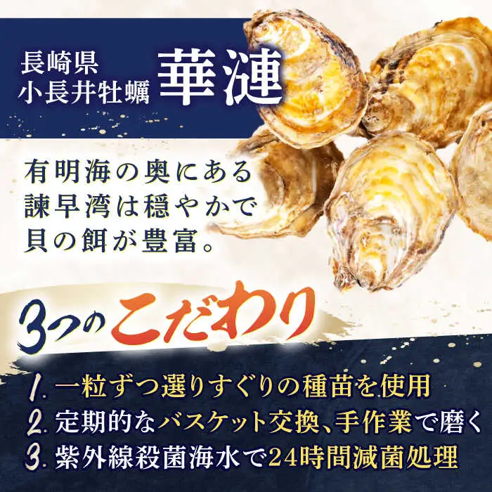 【長崎県小長井町産】「華漣」オリーブオイル漬3瓶 / 牡蠣 かき カキ オリーブ オリーブオイル / 諫早市 / 諫早湾漁業協同組合  [AHBJ003]