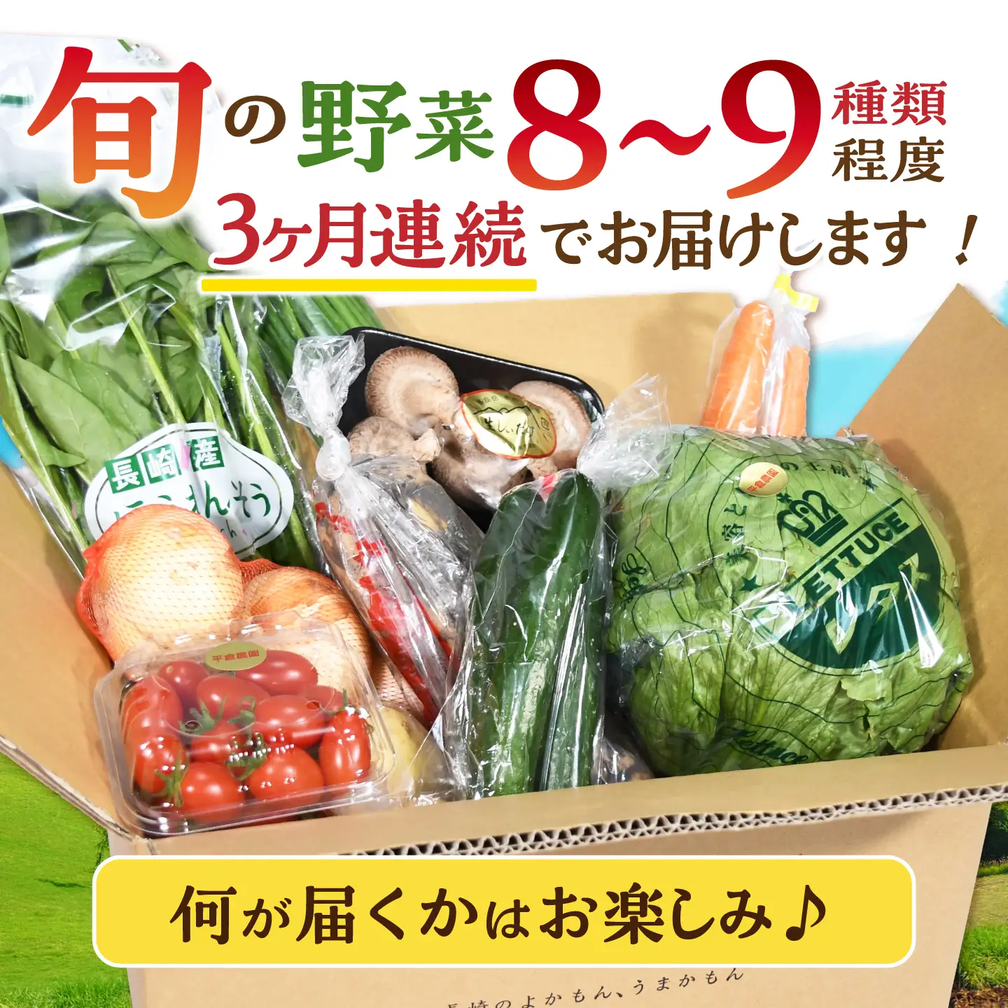野菜 3回定期便 諫早産野菜の詰め合わせ8・9品目程度 [AHDI001]