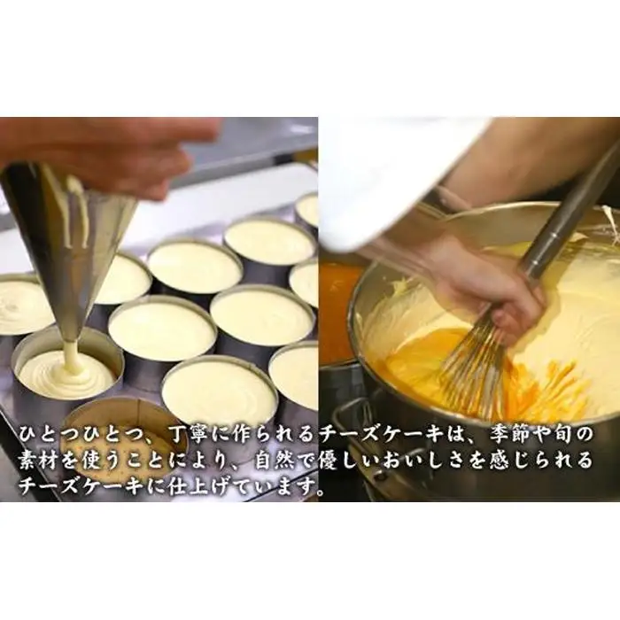 【クリーミーな舌触り】チーズケーキ ピュア レギュラー