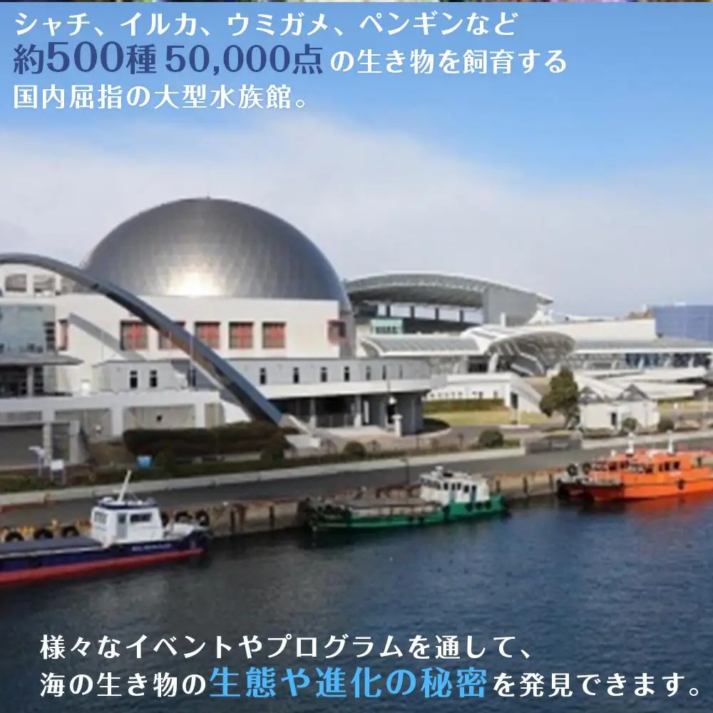 名古屋港水族館入館券（大人入館券２枚）