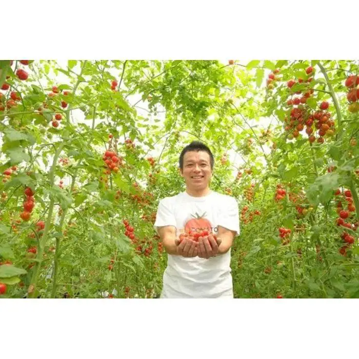 飯田農園　幻のトマト　有機栽培高糖度miuトマトジュース【赤】１５本セット【有機JAS】