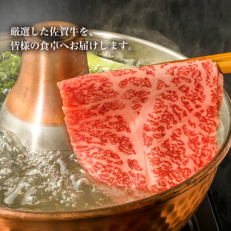 厳選佐賀牛 サーロインステーキ180g リブローススライス300g 2種(合計480g)セット ステーキ