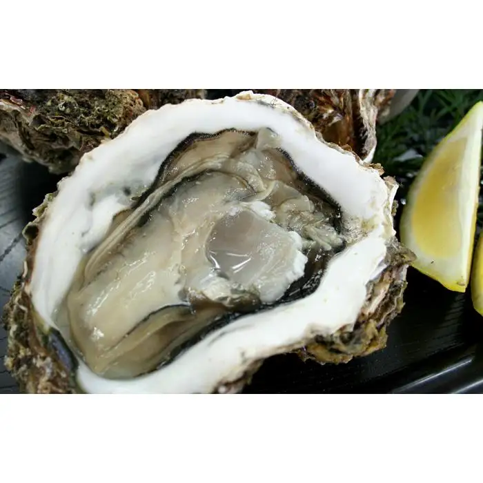 鳥取賀露港 天然岩がきセット【かねまさ・浜下商店】
