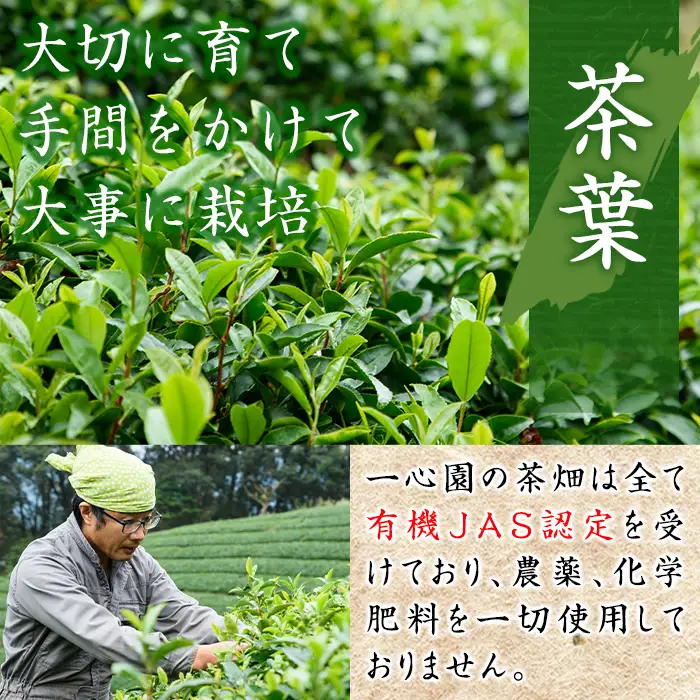 有機茶葉 一心園のこだわりがつまった9点セット(月の雫80g×3袋、釜炒り茎ほうじ茶80g、ティーバッグ各12個、強火仕上げの釜炒り茶100g) お茶 緑茶 オーガニック 有機JAS認証【IS018】【一心園】