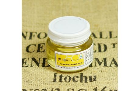 森をまもるコーヒー！竹炭焙煎珈琲＆ハチミツセット(粉) No.138
