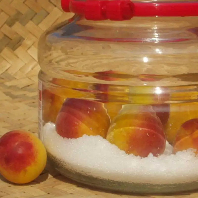 【先行予約】和歌山県産 紀州熟南高梅 2kg (4Lまたは3Lサイズ) 生うめ 大粒 梅干し 梅酒用 ご家庭用 青梅 黄梅 2027年6月上旬〜7月上旬発送【art006B】