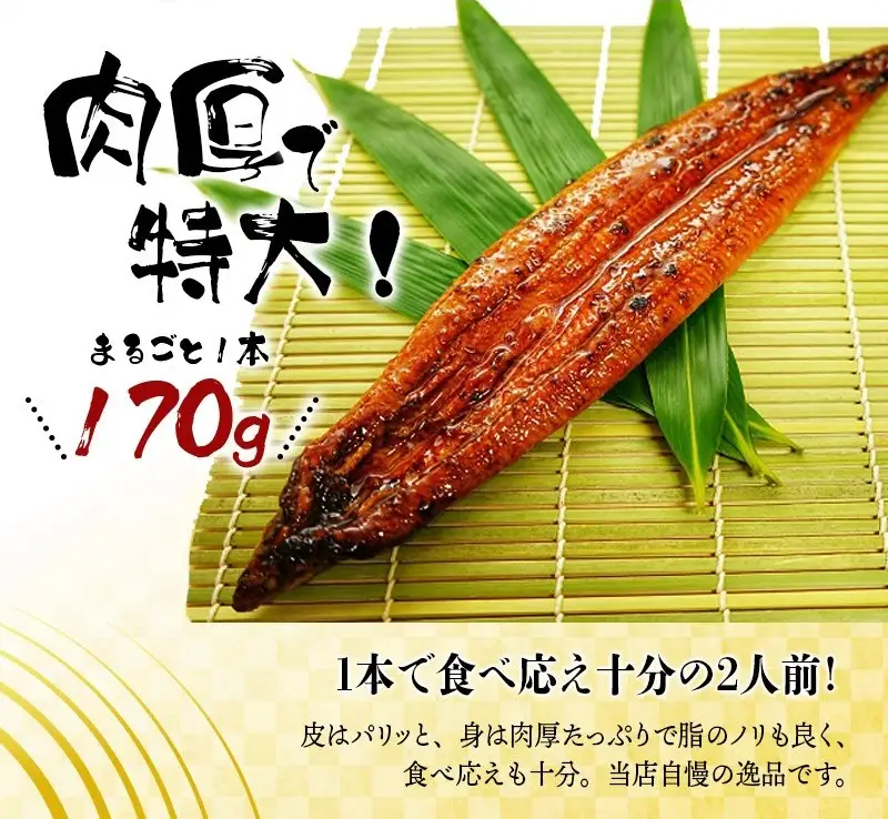 【国産 大型サイズ】ふっくら柔らか国産うなぎ蒲焼き 約２人前 化粧箱入  うなぎ 国産 特大【uot714A】