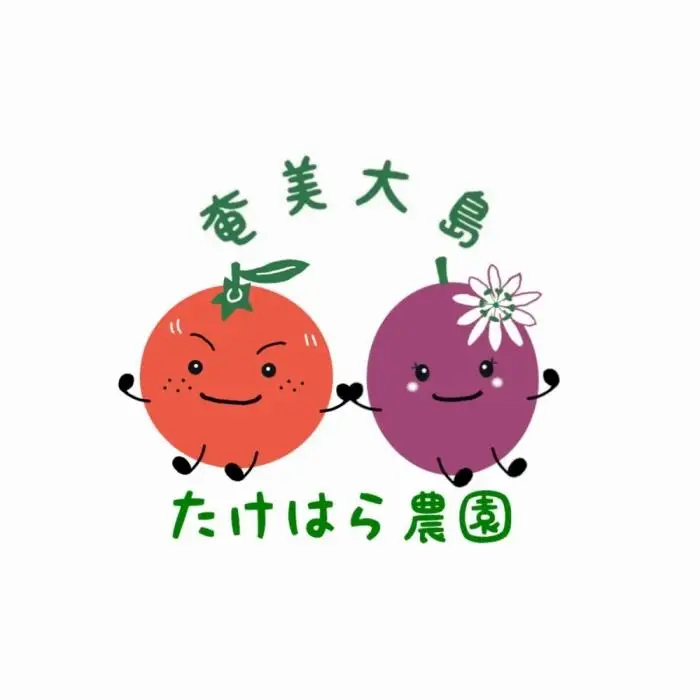 【2027年発送分 先行受付】パッションフルーツ バラ詰め3kg【たけはら農園】