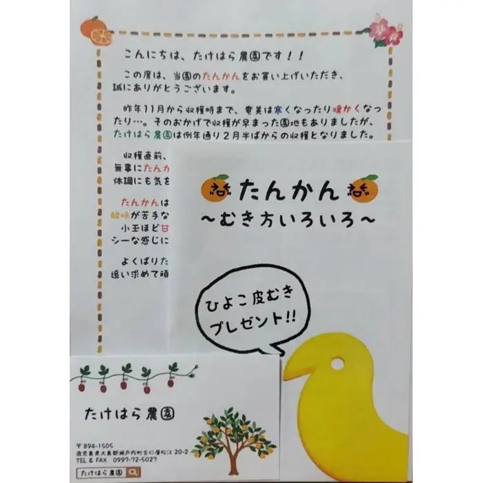 【2027年発送分 先行受付】たんかん ご家庭用バラ詰め3kg【たけはら農園】