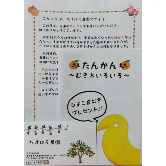 【2027年発送分 先行受付】たんかん ご家庭用バラ詰め3kg×2箱【たけはら農園】