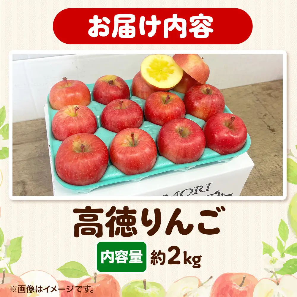 【26年12月発送】りんご 高徳（こうとく）【特選】約2kg 先行受付 青森県 弘前市 果物 フルーツ 林檎 リンゴ くだもの ギフト 贈り物