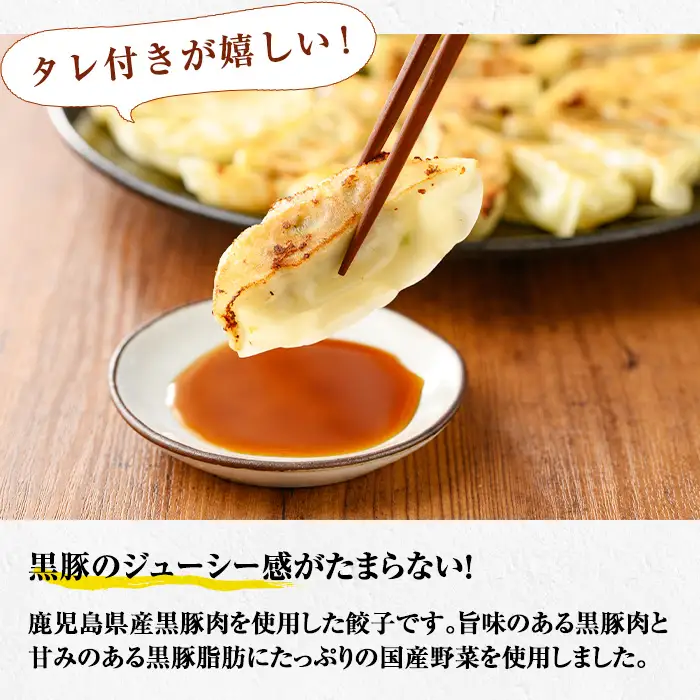 鹿児島 餃子 144個 生餃子【00-008-14】