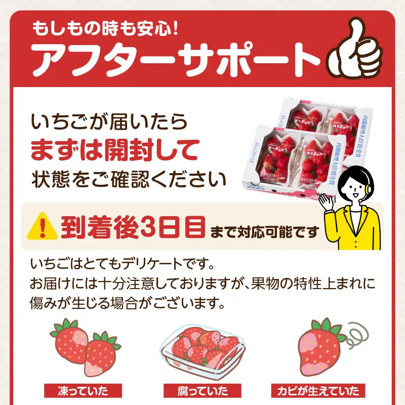 【先行受付：2027年2月発送開始】博多あまおうＧ250g×4パック｜JAふくおか八女 あまおう いちご 苺 イチゴ フルーツ 果物 くだもの 人気 旬 福岡県産 大粒 アフター補償 数量限定 期間限定 産地直送 グランデ 福岡県 八女市 002-003