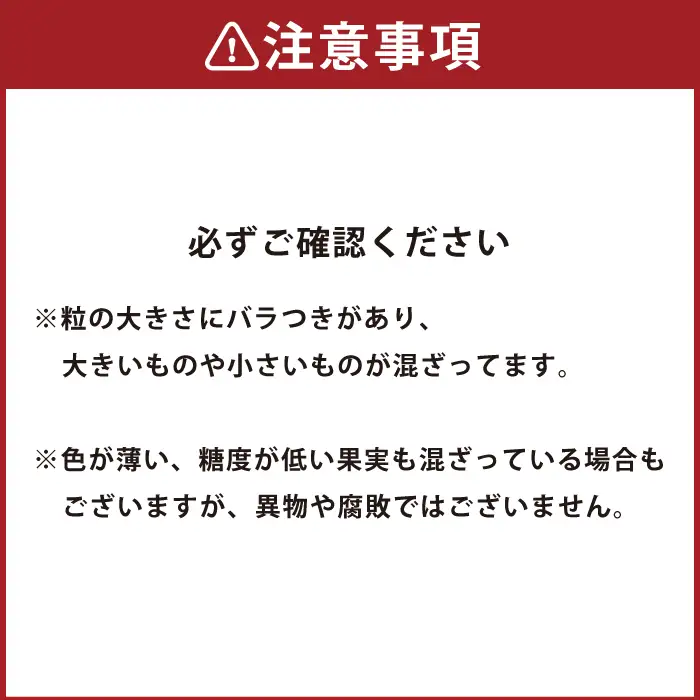 かの蜂 国産【 訳あり】 冷凍ブルーベリー2kg （1kg×2袋） 八女市産 ブルーベリー 国産 ブルーベリー 冷凍 フルーツ 八女市特産品 ヘルシー おやつ 栄養豊富 食物繊維 ビタミンC 福岡県 八女市 024-026