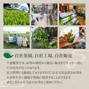 ＜八女茶＞産地直送  人気の深蒸し八女茶5本セット　028-004