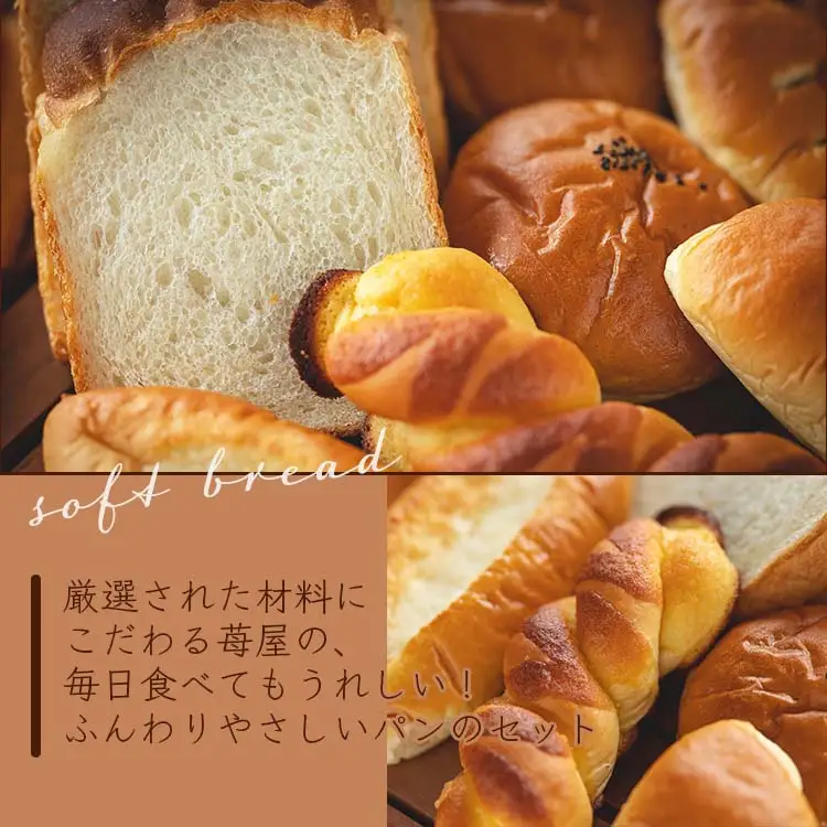 【6回定期便】ふんわりパン 9個 食パン 1斤 Wit-0077