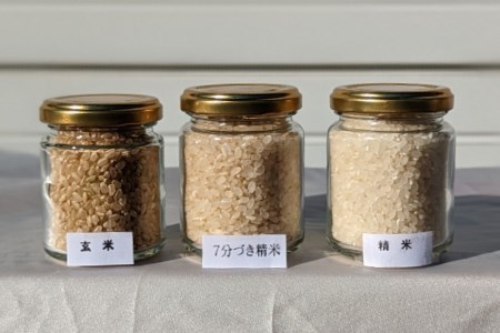 【期間限定発送】 米 令和6年 特別栽培米 コシヒカリ 7分づき 10kg ×1